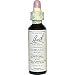 Algopix Similar Product 15 - Bach Flower Remedies  Mimulus 20