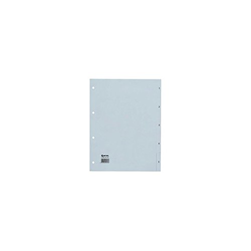 Algopix Similar Product 17 - Rexel Number Index Polypropylene Film