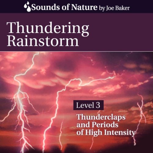 Algopix Similar Product 10 - Thundering Rainstorm
