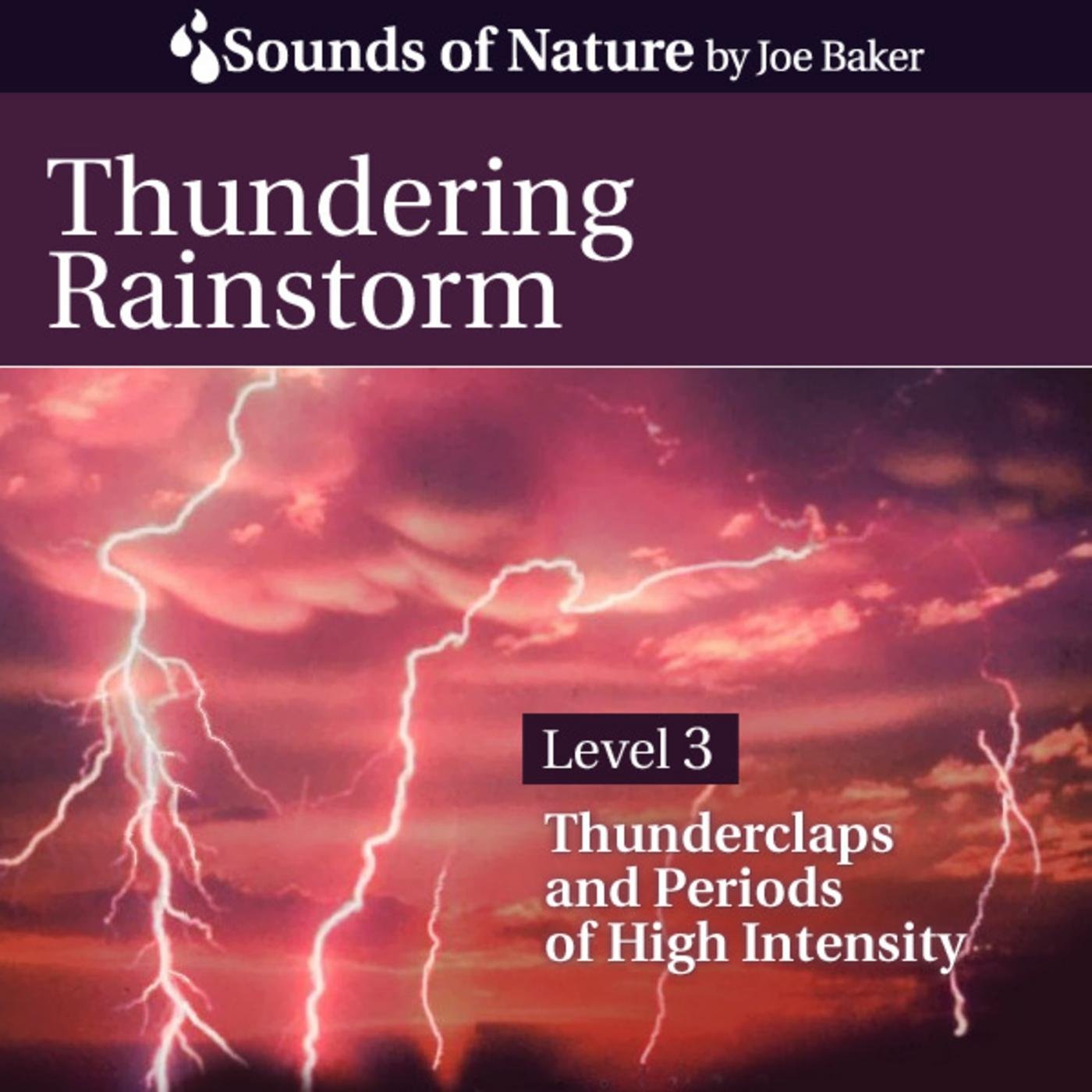 Algopix Similar Product 10 - Thundering Rainstorm