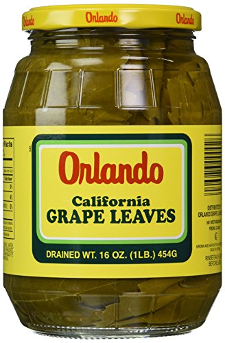 Algopix Similar Product 9 - Orlando California Grapes Leaves 16
