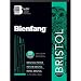 Algopix Similar Product 20 - Bienfang Bristol 9Inch by 12Inch