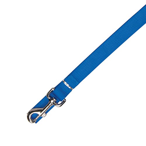 Algopix Similar Product 17 - Zack  Zoey Basic Nylon Dog Leash