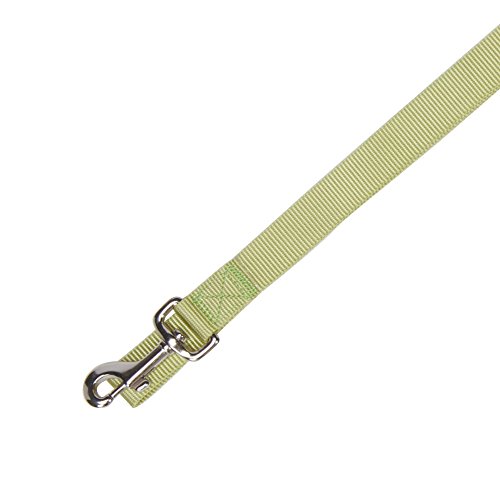 Algopix Similar Product 12 - Zack  Zoey Basic Nylon Dog Leash