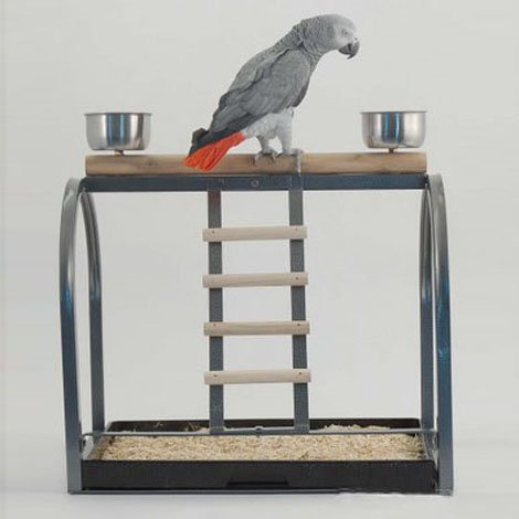 Algopix Similar Product 9 - Rainforest Table Top Stand