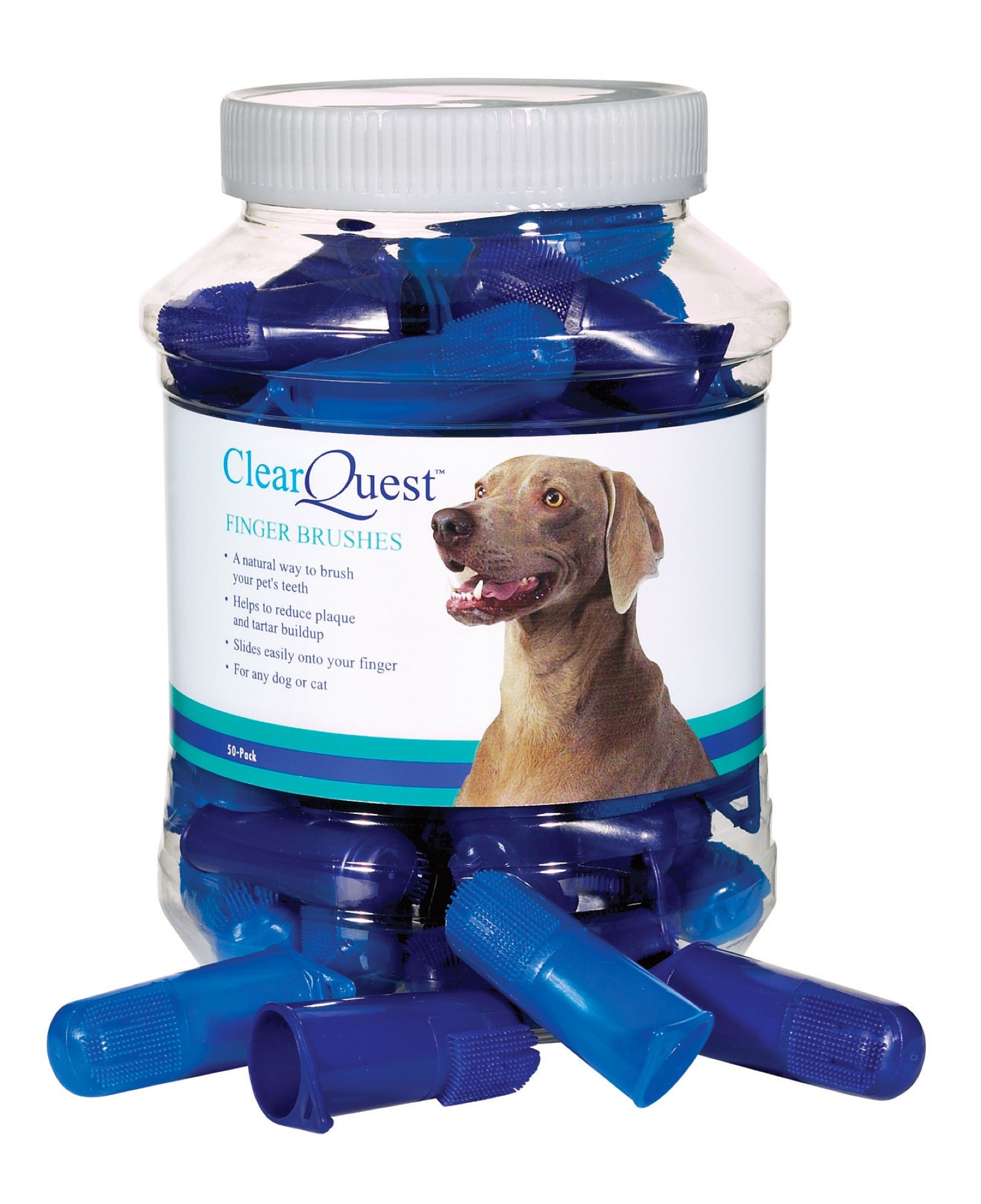 Algopix Similar Product 20 - ClearQuest Finger Brush Canisters 