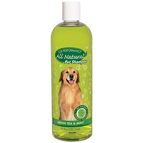 Algopix Similar Product 14 - Top Performance Green Tea and Mint