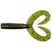 Algopix Similar Product 11 - AP TRAIL CONSERVANCY Appalachian Trail