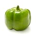 Algopix Similar Product 18 - Green Bell Pepper, 1 Each