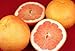 Algopix Similar Product 12 - Organic Grapefruit
