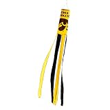 Algopix Similar Product 10 - Iowa Hawkeyes Wind Socks Set of 2