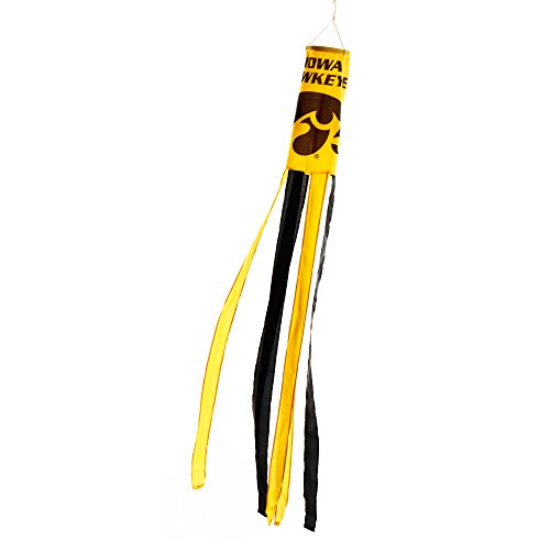 Algopix Similar Product 13 - Iowa Hawkeyes Wind Socks Set of 2