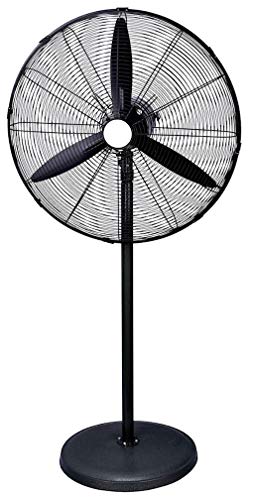 Algopix Similar Product 13 - Q Standard 10399 Pedestal Fan
