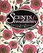 Algopix Similar Product 18 - Scents  Sensibilities Creating Solid