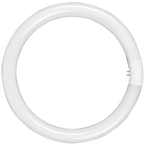 Algopix Similar Product 9 - Walimex 40W Replacement Lamp for Ring