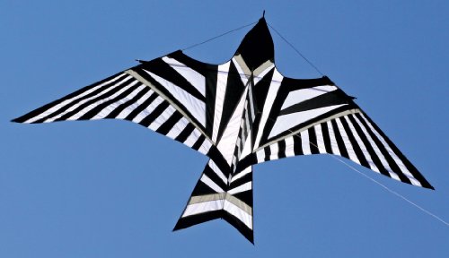 Algopix Similar Product 8 - Into The Wind George Peters Sky Bird
