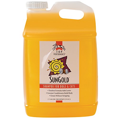 Algopix Similar Product 17 - Top Performance SunGold Puppies and