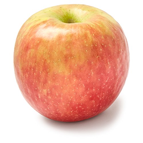 Algopix Similar Product 20 - Fuji Apple, 1 Each