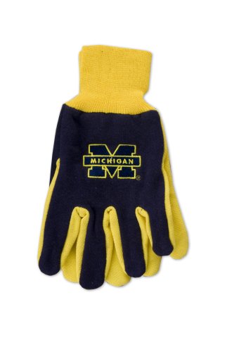 Algopix Similar Product 19 - NCAA Michigan Wolverines TwoTone