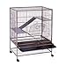 Algopix Similar Product 18 - Prevue Pet Products Rat Chinchilla