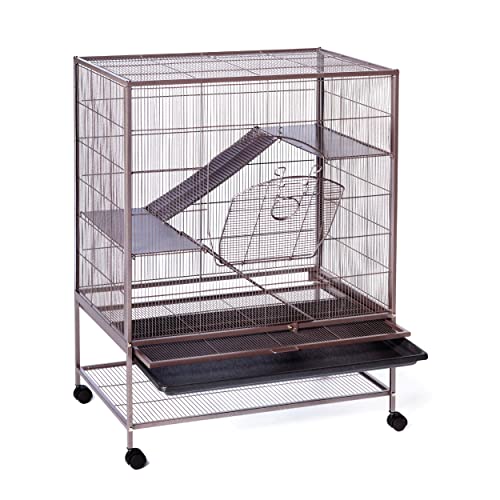 Algopix Similar Product 6 - Prevue Pet Products Rat Chinchilla