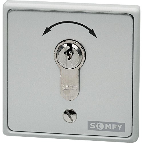 Algopix Similar Product 8 - Somfy Key-operated button 9000021
