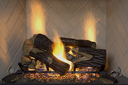 Algopix Similar Product 9 - Sure Heat BRO18NG Sure Heat Burnt River