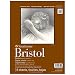 Algopix Similar Product 18 - Strathmore 400 Series Bristol Paper