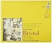 Algopix Similar Product 16 - Strathmore 300 Series Bristol Paper