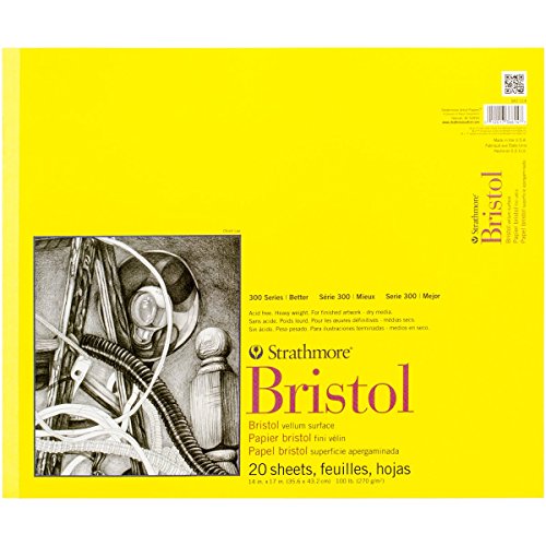 Algopix Similar Product 17 - Strathmore 300 Series Bristol Paper