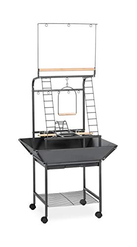 Algopix Similar Product 8 - Prevue Pet Products Small Parrot