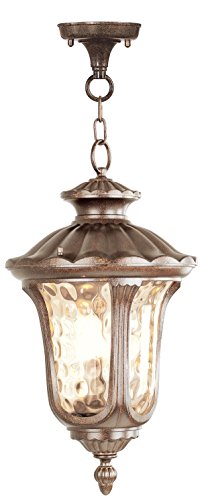 Algopix Similar Product 10 - Livex Lighting 765850 Oxford 3 Light