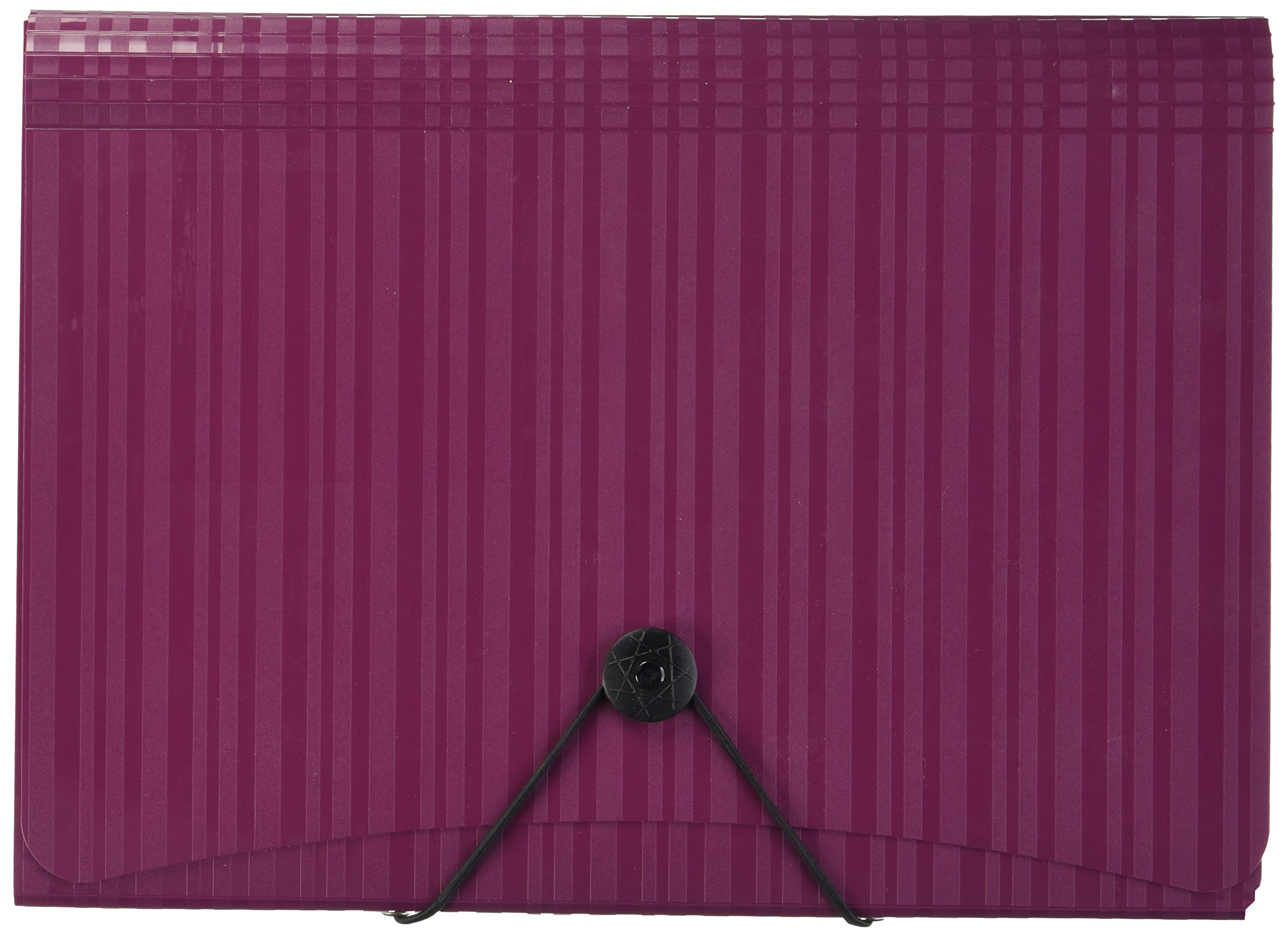 Algopix Similar Product 16 - Esselte 7 Pocket Letter Poly Expanding