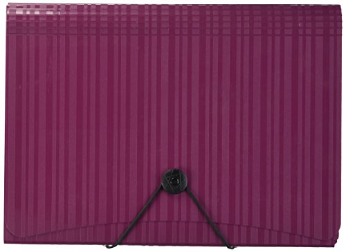 Algopix Similar Product 13 - Esselte 7 Pocket Letter Poly Expanding