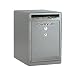 Algopix Similar Product 5 - SentrySafe Depository Safe with Dual
