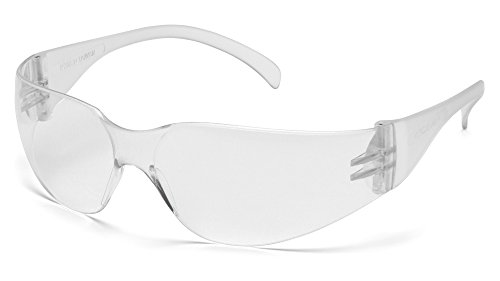 Algopix Similar Product 12 - Pyramex Intruder Safety Eyewear Clear