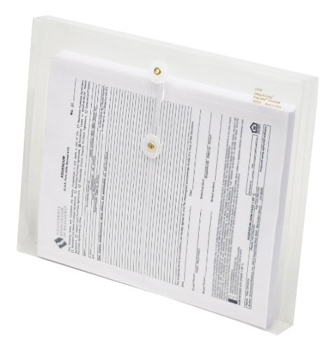 Algopix Similar Product 12 - Lion StringALong Clear Poly Envelopes