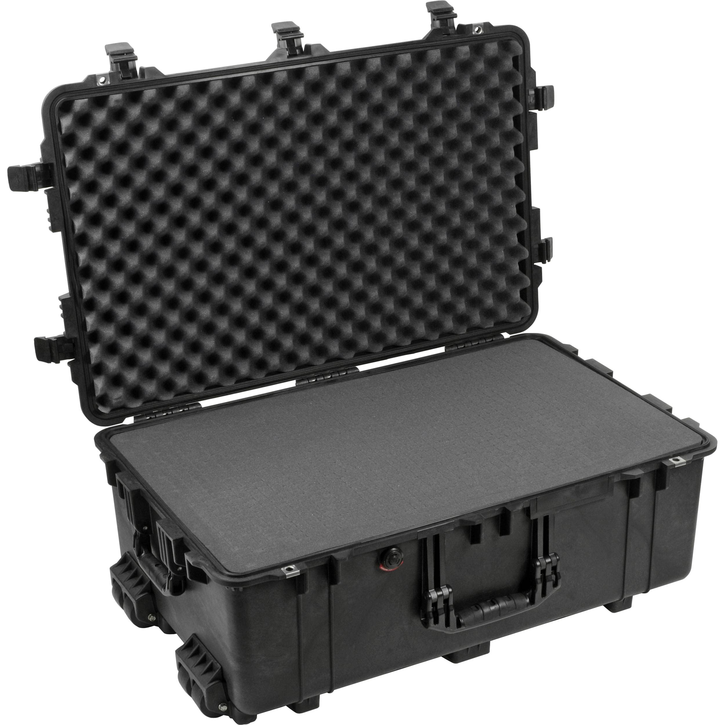 Algopix Similar Product 14 - Pelican 1650 Camera Case With Foam