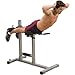Algopix Similar Product 2 - BodySolid GRCH322 Roman Chair for