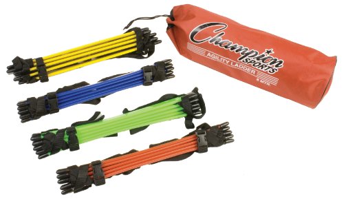 Algopix Similar Product 15 - Champion Sports 13Feet Sectioned
