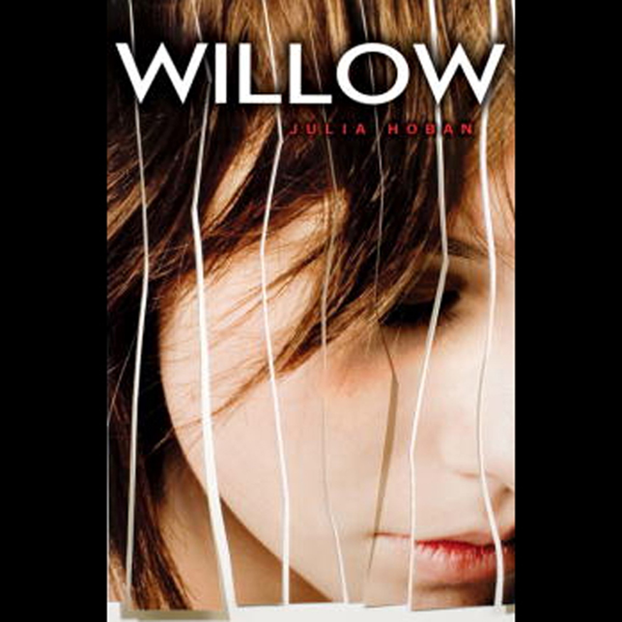 Algopix Similar Product 11 - Willow