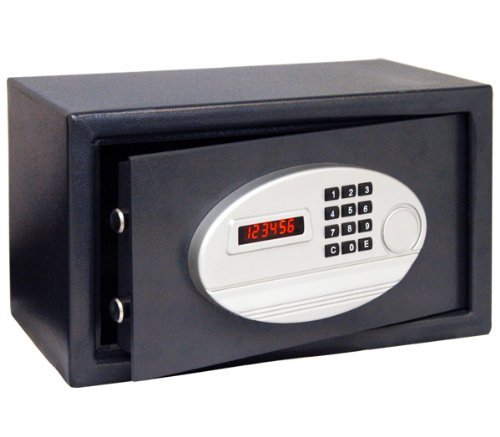 Algopix Similar Product 17 - LockState LS19EPL MidSize Digital