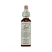 Algopix Similar Product 20 - Rock Rose 20 ML