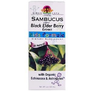 Algopix Similar Product 10 - NATURES ANSWER AF SAMBUCUS KIDS