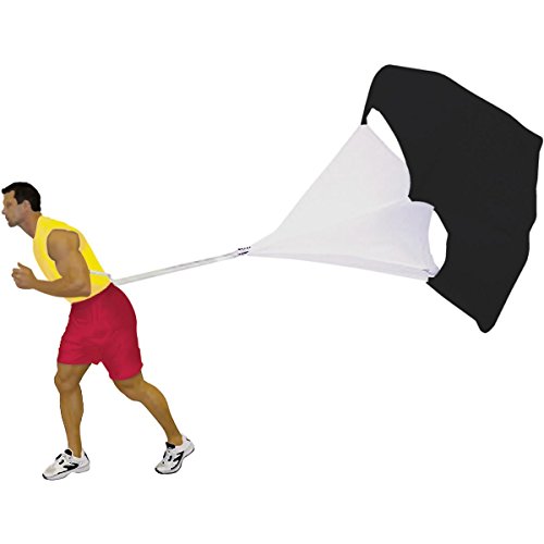 Algopix Similar Product 4 - Champion Sports Speed Training Tool 