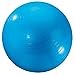 Algopix Similar Product 8 - Dick Martin Sports Exercise Ball 24