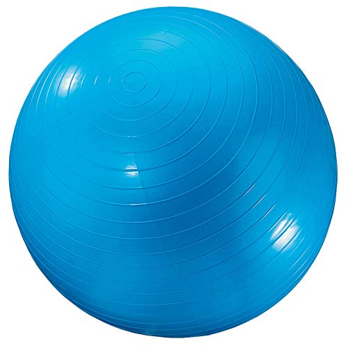 Algopix Similar Product 6 - Dick Martin Sports Exercise Ball 24