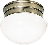 Algopix Similar Product 13 - Nuvo Lighting SF77921 One Light