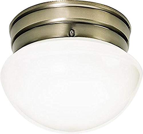 Algopix Similar Product 3 - Nuvo Lighting SF77921 One Light