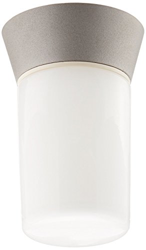 Algopix Similar Product 17 - Nuvo Lighting SF77155 Utility Fixture
